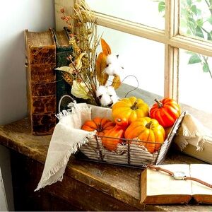 NEW Pumpkin Gourd Squash Mix Decor Decorations Set of 8 Fall Autumn holiday